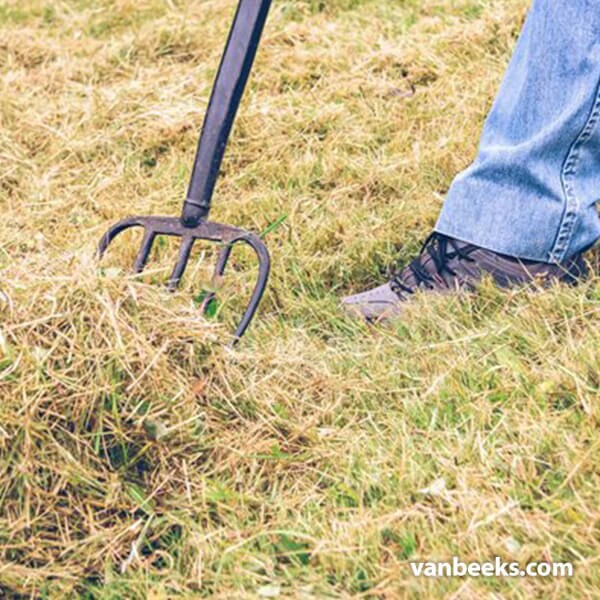 ProYard Spading Fork 41", 4-Tine